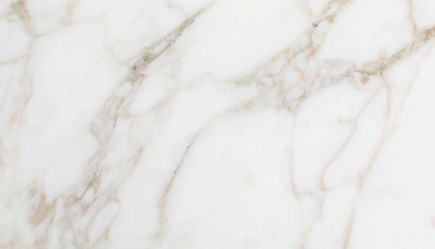 Calacatta 12×24 Honed Marble – Tileforless